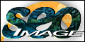 SEO Image
